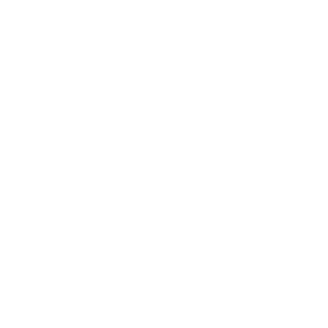 MySQL Banner